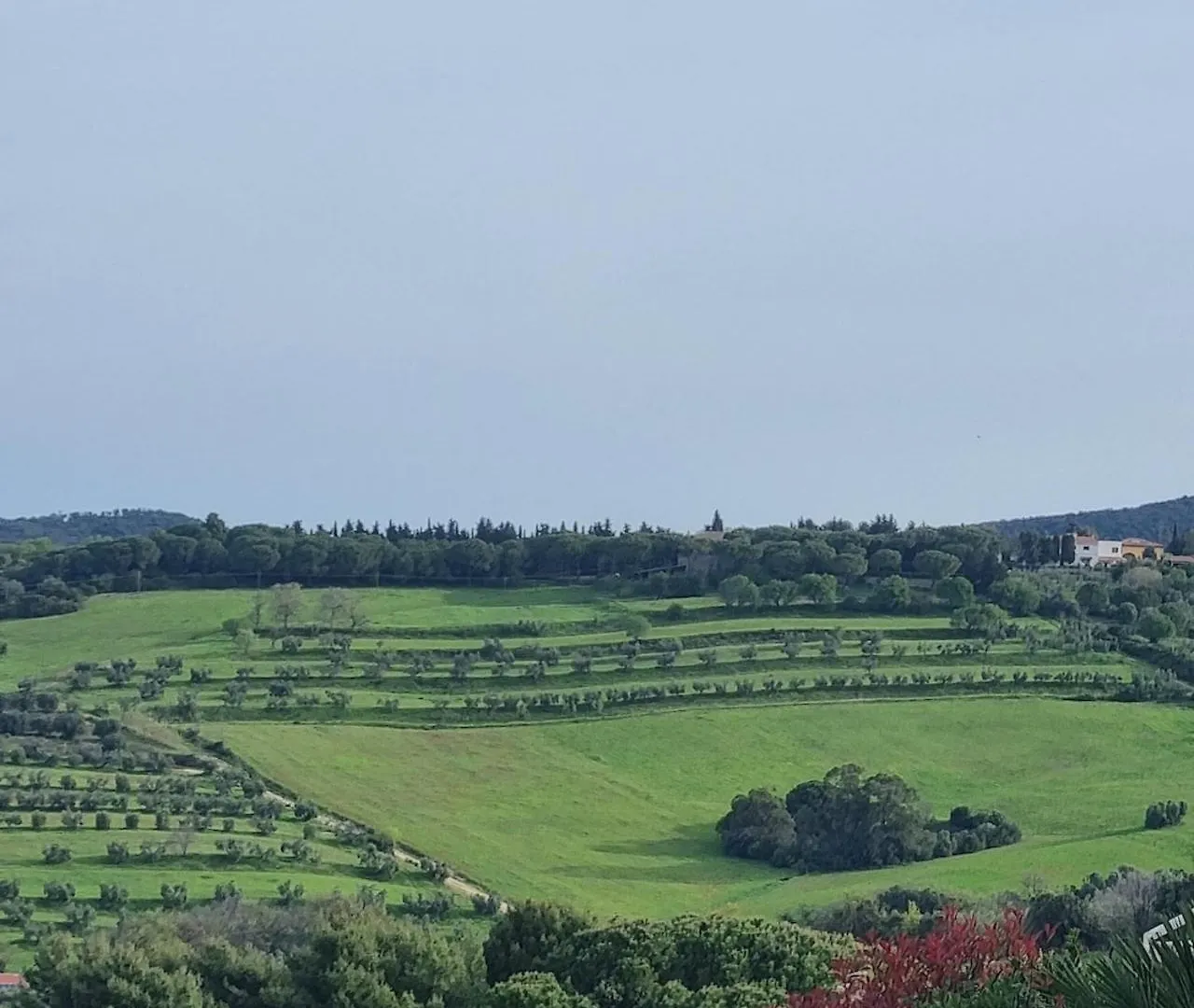 Agriturismo Le Rondini Di San Bartolo 산빈첸초 팜스테이